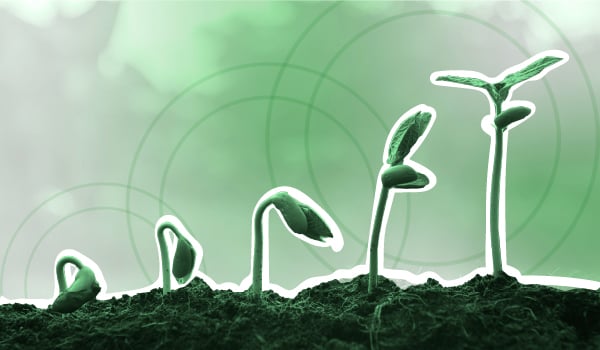 clarity_now_claritynow_Expert_Strategies_to_Focus_on_Growing_Your_Real_Estate_Business